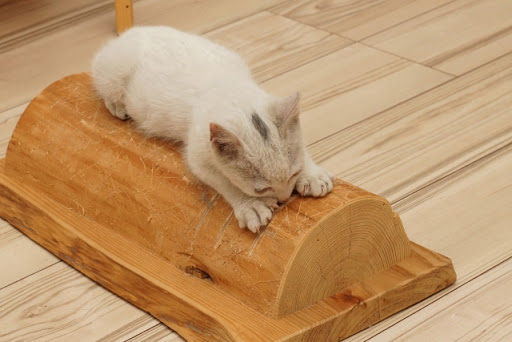 新築住宅におすすめの猫の爪研ぎ対策